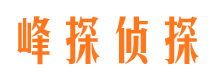 新邵市婚外情调查